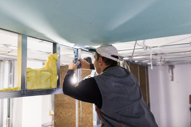 Best Insulation for New Construction  in Inverness, CO